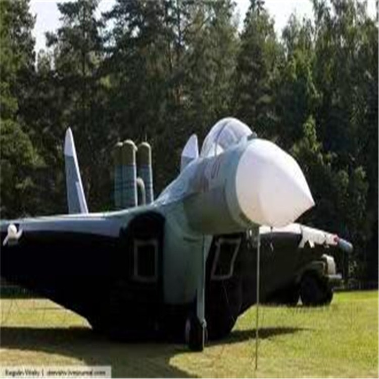 翔安充气模型飞机制造商家
